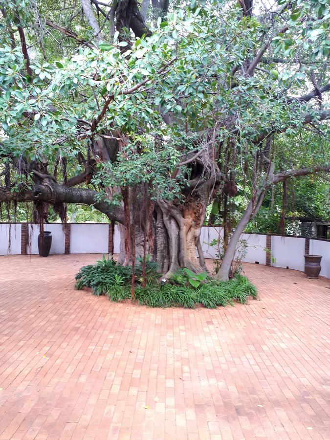 Bush Lovers Lodge Modimolle Exterior foto